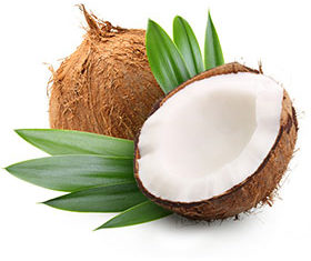 O'Regal - Noix de coco râpée – Le comptoir du Nil : produits