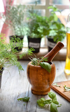 Indoor Herb Garden, Potted Container Plant By Window Sill